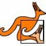 Powiększ zdjęcie logo programu Kangur